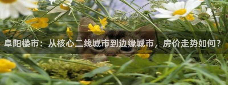 新宝5娱乐主管：阜阳楼市：从核心二线城市到边缘城市，房价走势