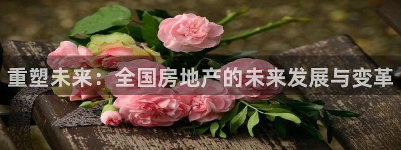 i新宝5：重塑未来：全国房地产的未来发展与变革