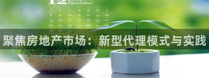 新宝5官网app：聚焦房地产市场：新型代理模式与实践