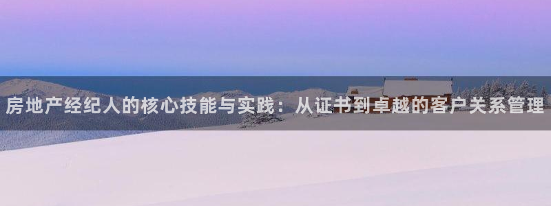 新宝5平台霸：房地产经纪人的核心技能与实践：从证书到卓越的客
