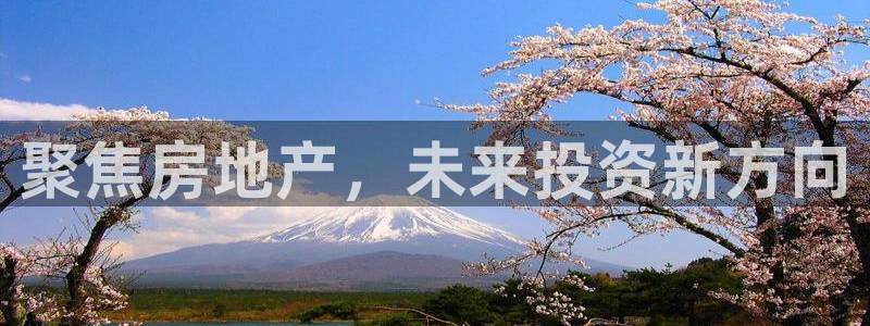 新宝5注册测速登录：聚焦房地产，未来投资新方向