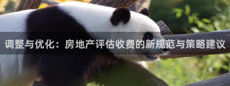 新宝5X：调整与优化：房地产评估收费的新规范与策略建议