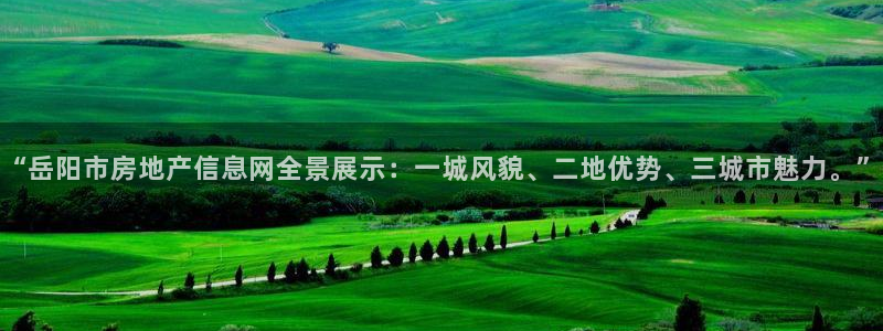 新宝5登录地址：“岳阳市房地产信息网全景展示：一城风貌、二地