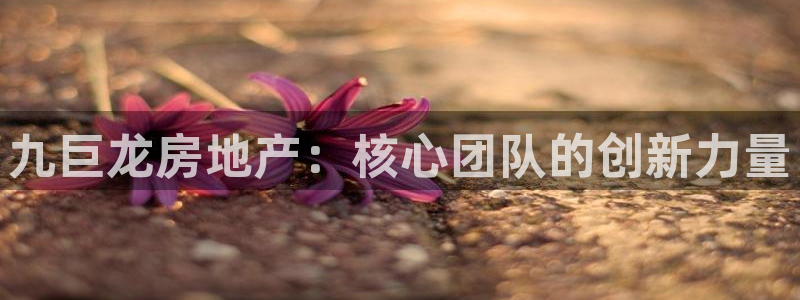 新宝5娱乐：九巨龙房地产：核心团队的创新力量