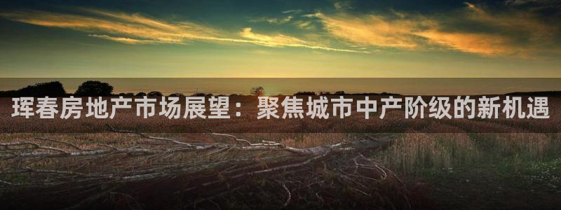 新宝股东瞧听2 5 5：珲春房地产市场展望：聚焦城市中产阶级