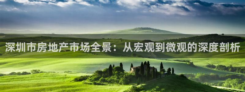 新宝5娱乐注册：深圳市房地产市场全景：从宏观到微观的深度剖析