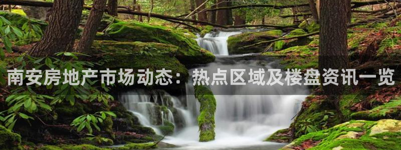 新宝5网：南安房地产市场动态：热点区域及楼盘资讯一览