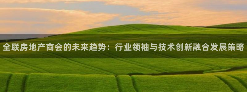 新宝5日：全联房地产商会的未来趋势：行业领袖与技术创新融合发