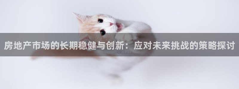 新宝5球维33 300：房地产市场的长期稳健与创新：应对未来