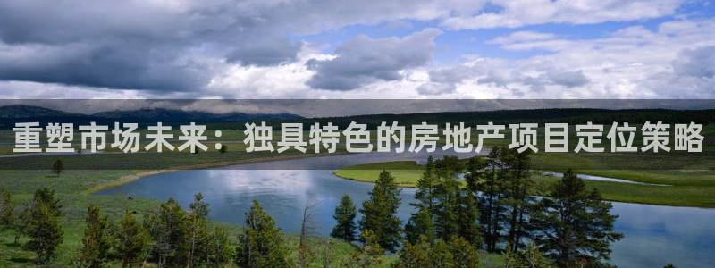 新宝3得74OO5：重塑市场未来：独具特色的房地产项目定位策