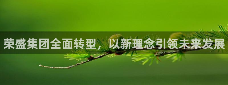 新宝5公司：荣盛集团全面转型，以新理念引领未来发展