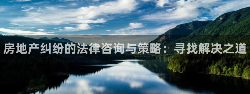 新宝 5测速：房地产纠纷的法律咨询与策略：寻找解决之道