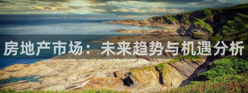 新宝6霸哥5：房地产市场：未来趋势与机遇分析