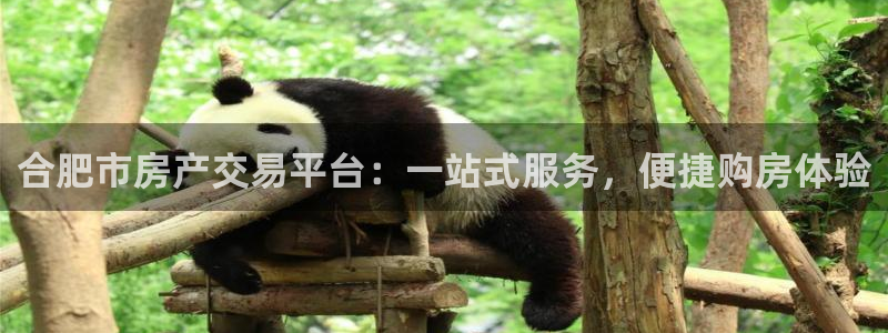 新宝5内部：合肥市房产交易平台：一站式服务，便捷购房体验