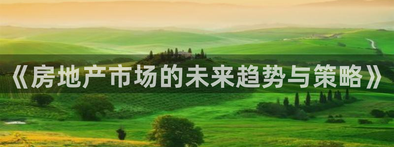 新宝5招商：《房地产市场的未来趋势与策略》