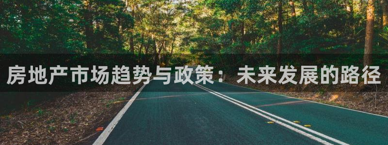 新宝5官方登录入口：房地产市场趋势与政策：未来发展的路径