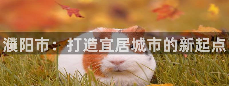 新宝5下载网址：濮阳市：打造宜居城市的新起点