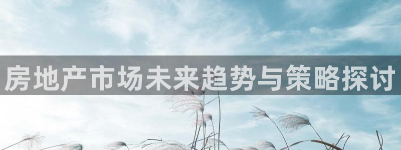 新宝5飞355051：房地产市场未来趋势与策略探讨