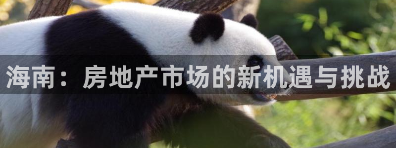 新宝5手机版：海南：房地产市场的新机遇与挑战