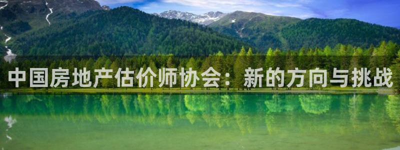 新宝5登录：中国房地产估价师协会：新的方向与挑战