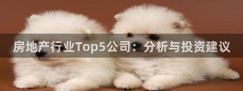 新宝5测速登录：房地产行业Top5公司：分析与投资建议