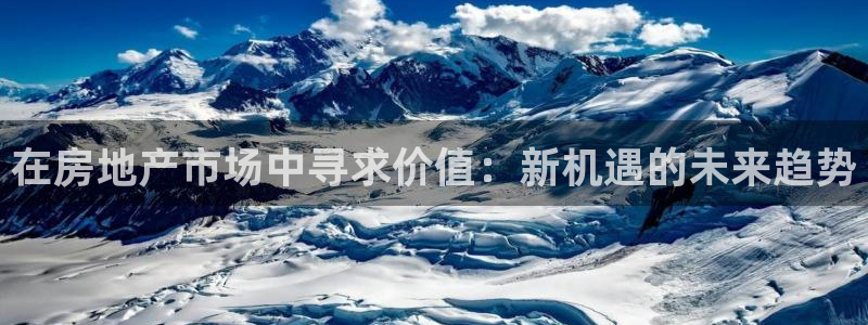 新宝5招商部：在房地产市场中寻求价值：新机遇的未来趋势