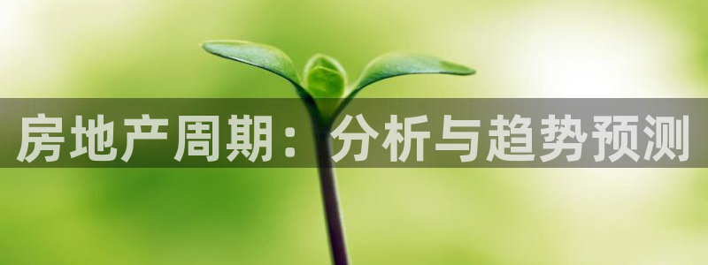 新宝5招商部：房地产周期：分析与趋势预测