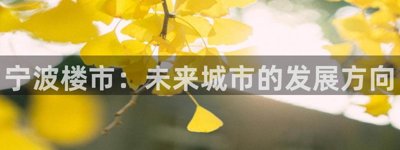 新宝5内部：宁波楼市：未来城市的发展方向