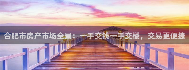 新宝5注册测速登录：合肥市房产市场全景：一手交钱一手交楼，交