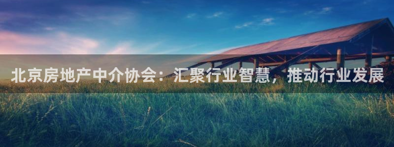 新宝5下载官方：北京房地产中介协会：汇聚行业智慧，推动行业发