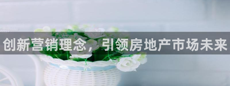 新宝5秒开：创新营销理念，引领房地产市场未来