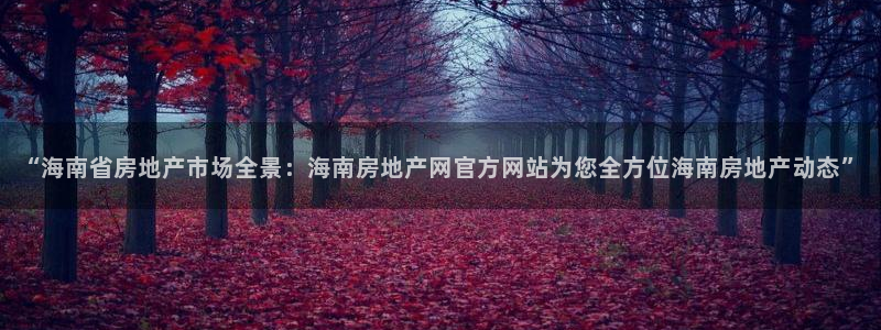 新宝5为啥开：“海南省房地产市场全景：海南房地产网官方网站为