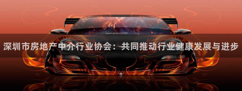 新宝b2O5O5O：深圳市房地产中介行业协会：共同推动行业健