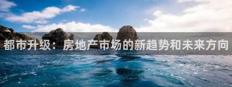 新宝集团新宝5：都市升级：房地产市场的新趋势和未来方向