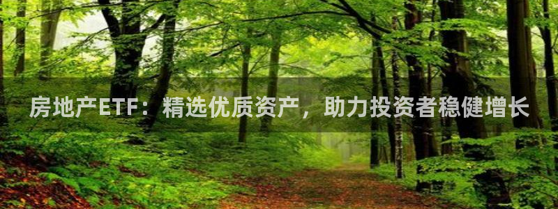 新宝5测速登陆：房地产ETF：精选优质资产，助力投资者稳健增