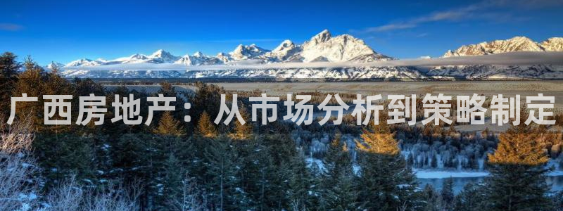 新宝5线路登录：广西房地产：从市场分析到策略制定