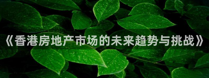 新宝5蒋74OOO5：《香港房地产市场的未来趋势与挑战》