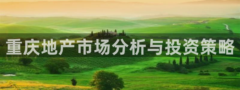 新宝5主管：重庆地产市场分析与投资策略