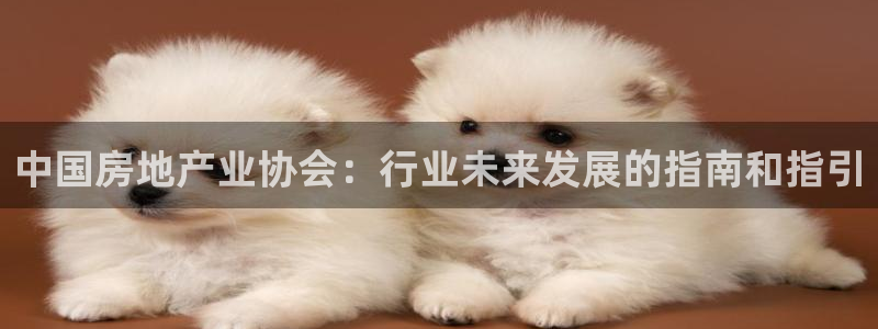 新宝5app：中国房地产业协会：行业未来发展的指南和指引