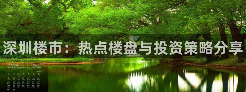 新宝5娱乐登录：深圳楼市：热点楼盘与投资策略分享