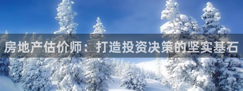 新宝新5：房地产估价师：打造投资决策的坚实基石