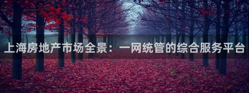 新宝5下载软件：上海房地产市场全景：一网统管的综合服务平台
