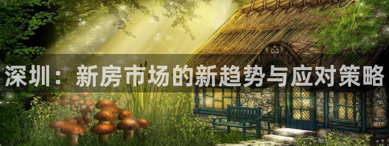 新宝5娱乐注册：深圳：新房市场的新趋势与应对策略