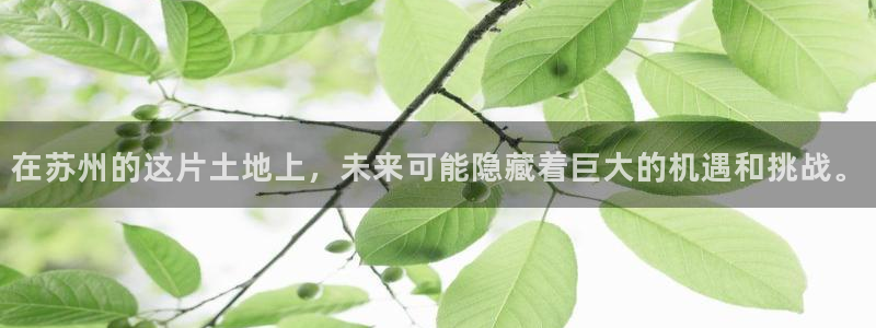 新宝新5：在苏州的这片土地上，未来可能隐藏着巨大的机遇和挑战
