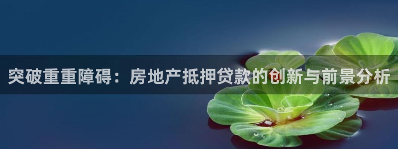 新宝5五：突破重重障碍：房地产抵押贷款的创新与前景分析