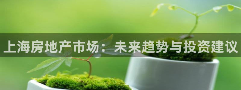 新宝5得74OOO5：上海房地产市场：未来趋势与投资建议