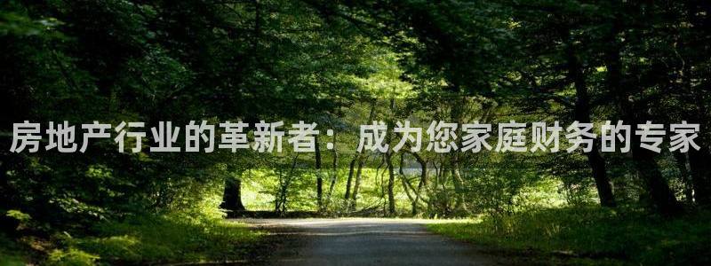 新宝5娱乐：房地产行业的革新者：成为您家庭财务的专家