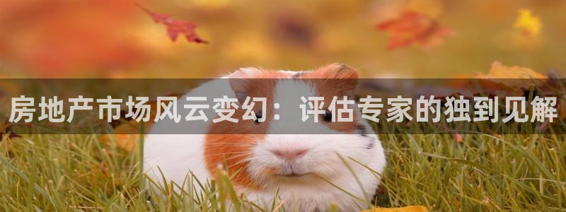 新宝5上来77542：房地产市场风云变幻：评估专家的独到见解