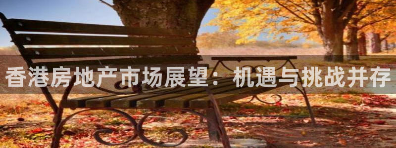 新宝5内部：香港房地产市场展望：机遇与挑战并存