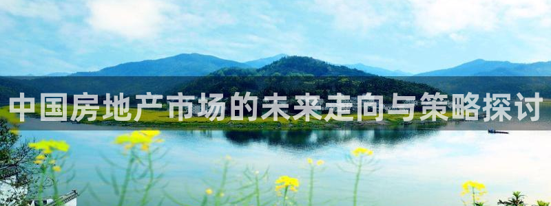 新宝5测速：中国房地产市场的未来走向与策略探讨